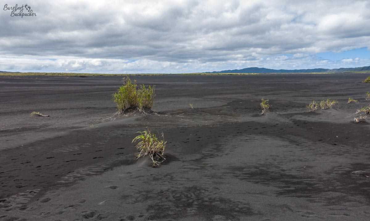 The ash plain on Ambrym