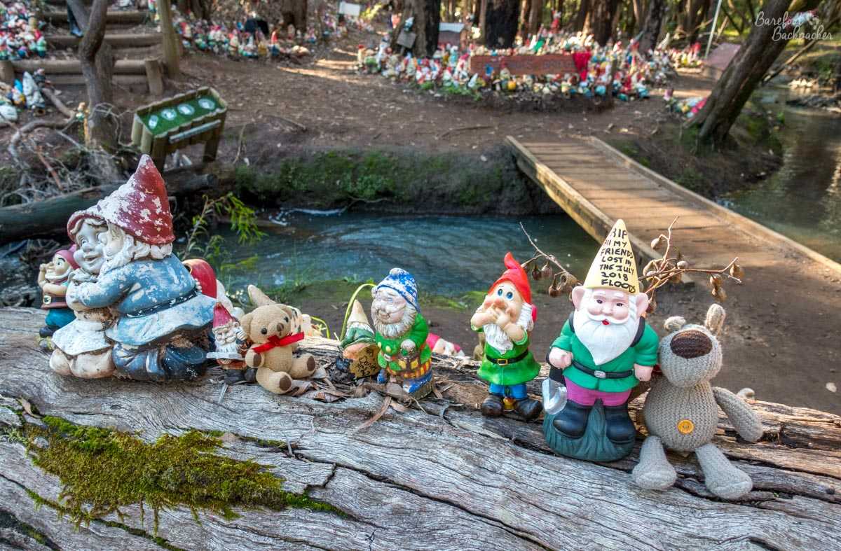 Some more gnomes at Gnomesville