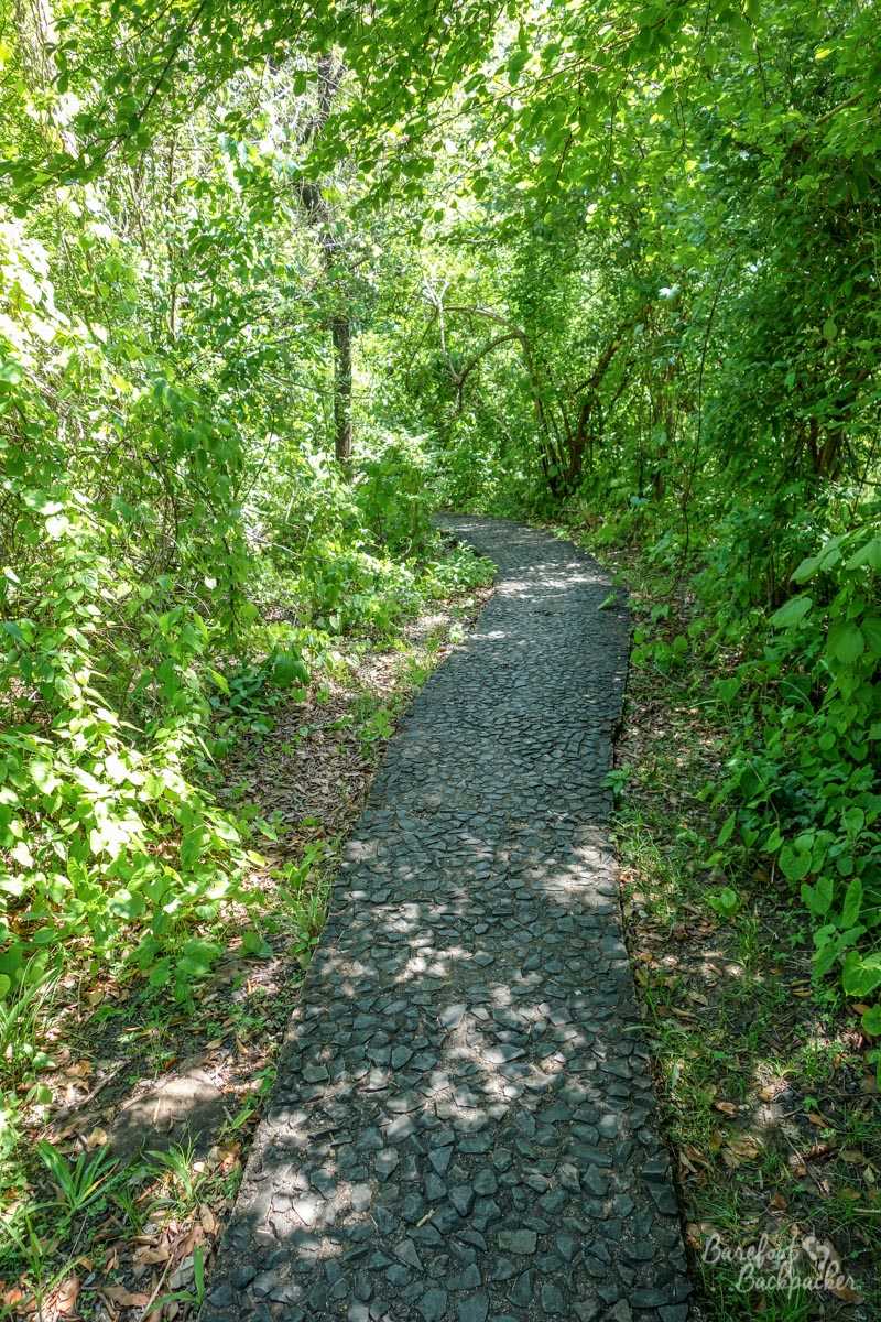 The Rainforest Path at Victoria Falls – a very humid cobbled stone pathway winding through the rainforest