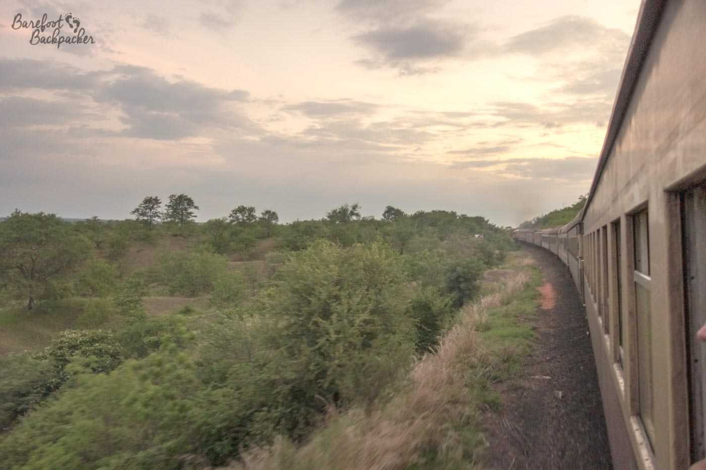 The train that runs between Victoria Falls and Bulawayo, not long after setting out, going through the shrubland of northern Zimbabwe.