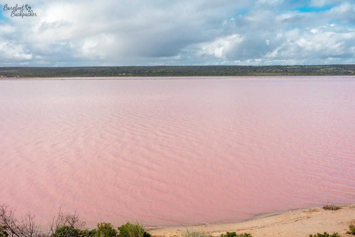 Overview of Hutt Lagoon, the pink lake in Western Australia.