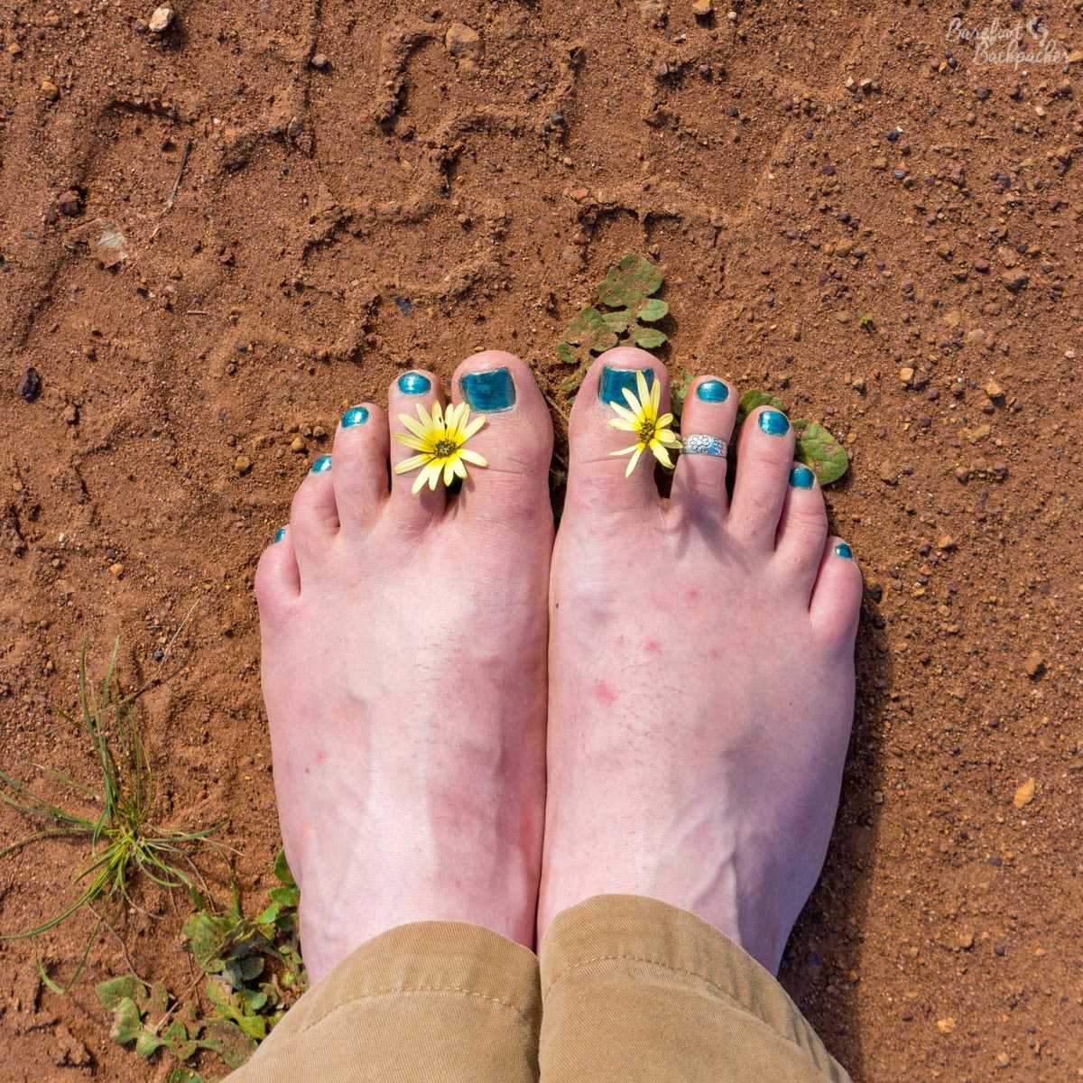 Two bare feet on a dusty, stony, road in the Australian outback, with a couple of wldflowers growing in the road poking through between the toes. The toenails are painted in a sort of teal shade.