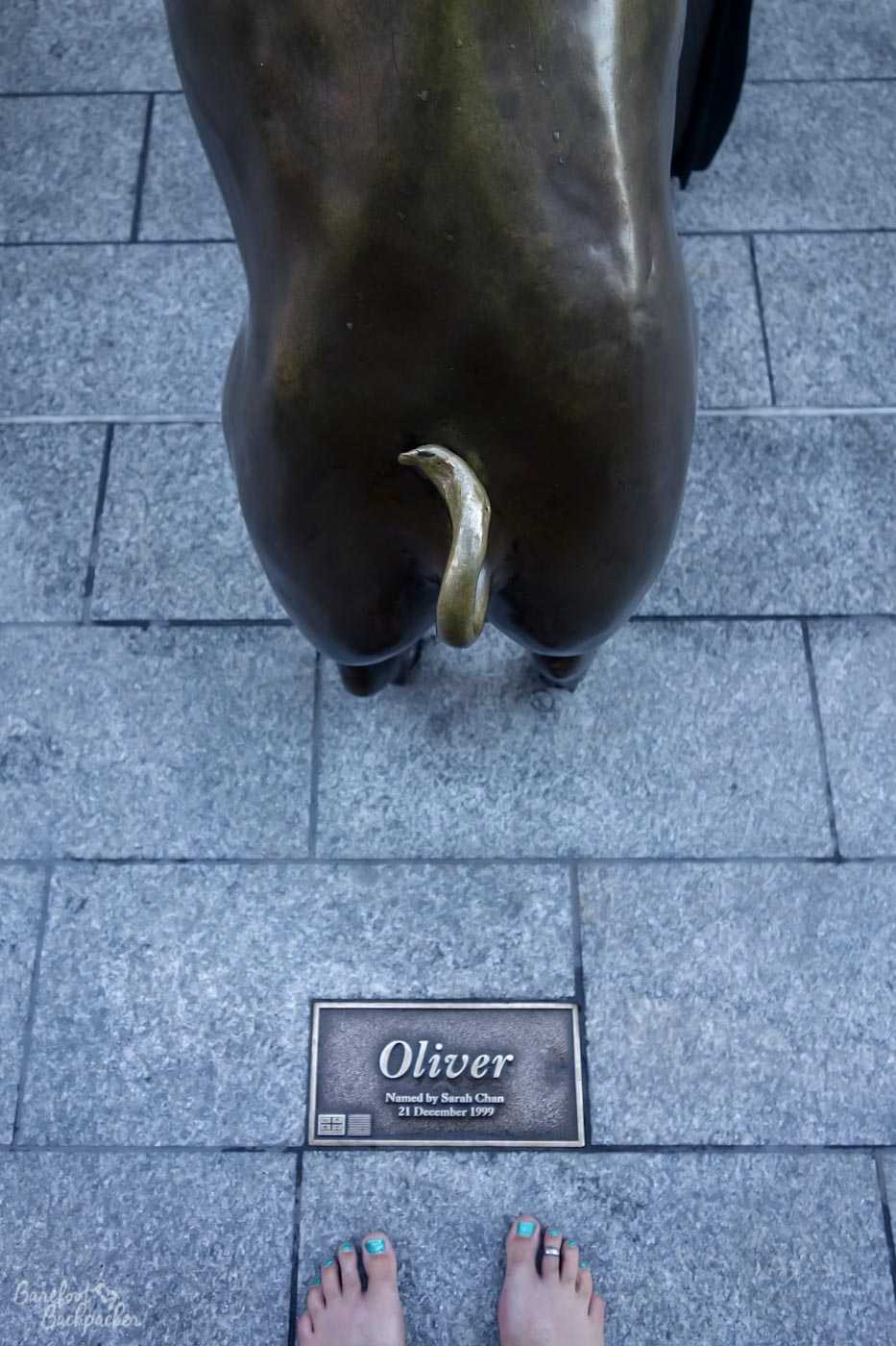 One of the pigs is called 'Oliver', according to the plaque on the pavement just behind his rear legs. This is apt given that's also my name. Obviously I had to take a selfie with him; obviously, this being me, the selfie is of my bare feet near his.