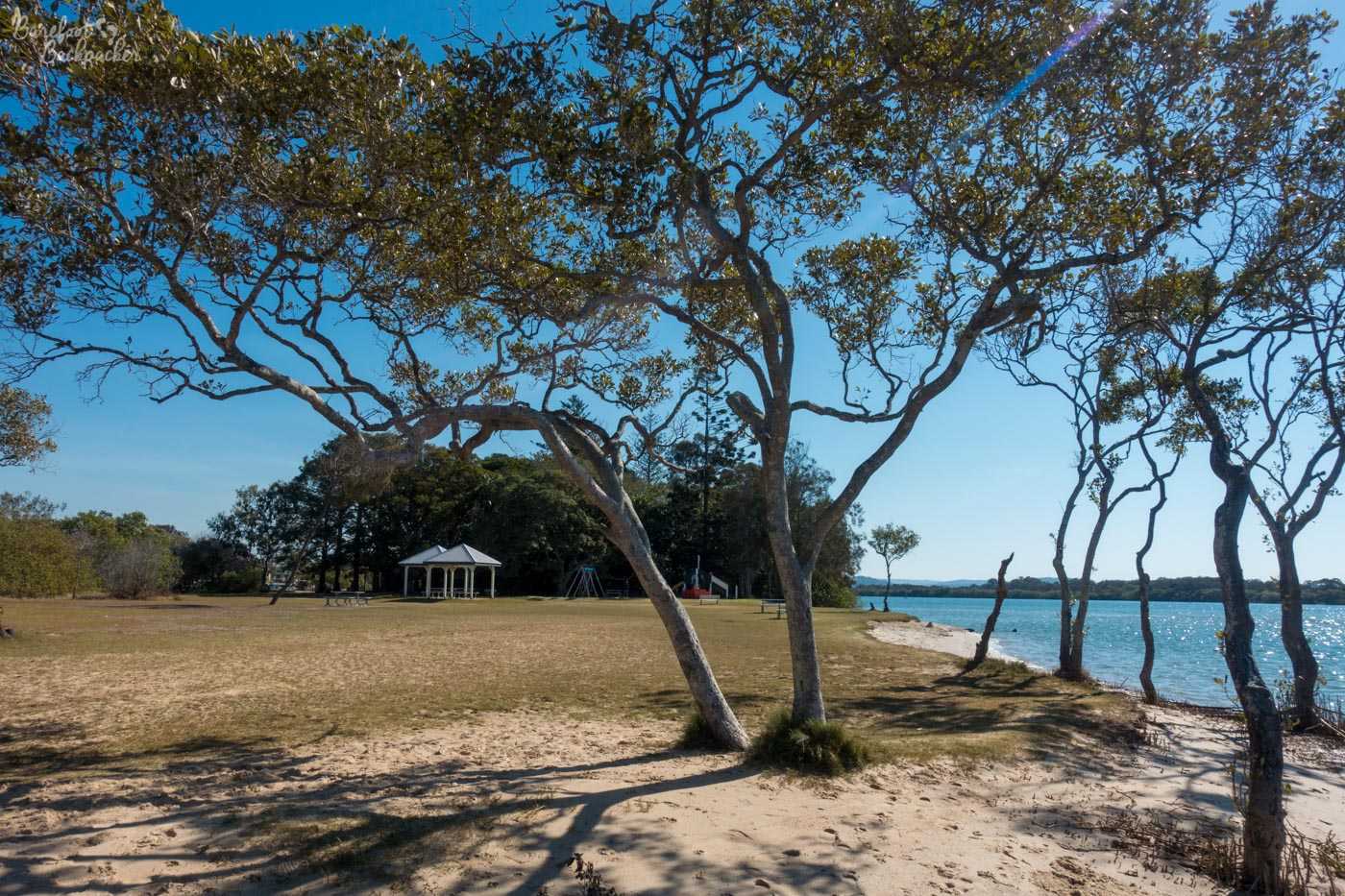 Chamber's Island. Pic is taken from under the trees. The mouth of the Maroochy river is on the right, next to a small beach (it's bigger behind me). In the centre distance, on the grass, are a couple of shelters, a set of swings, and some picnic tables. Behind them are more trees. There's no-one else here.