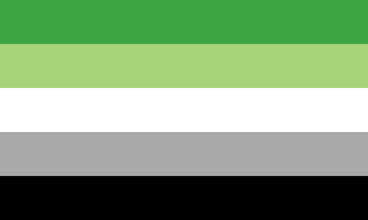 Aromantic Pride Flag. Equal stripes across, from the top down: dark green, light green, white, grey, black.