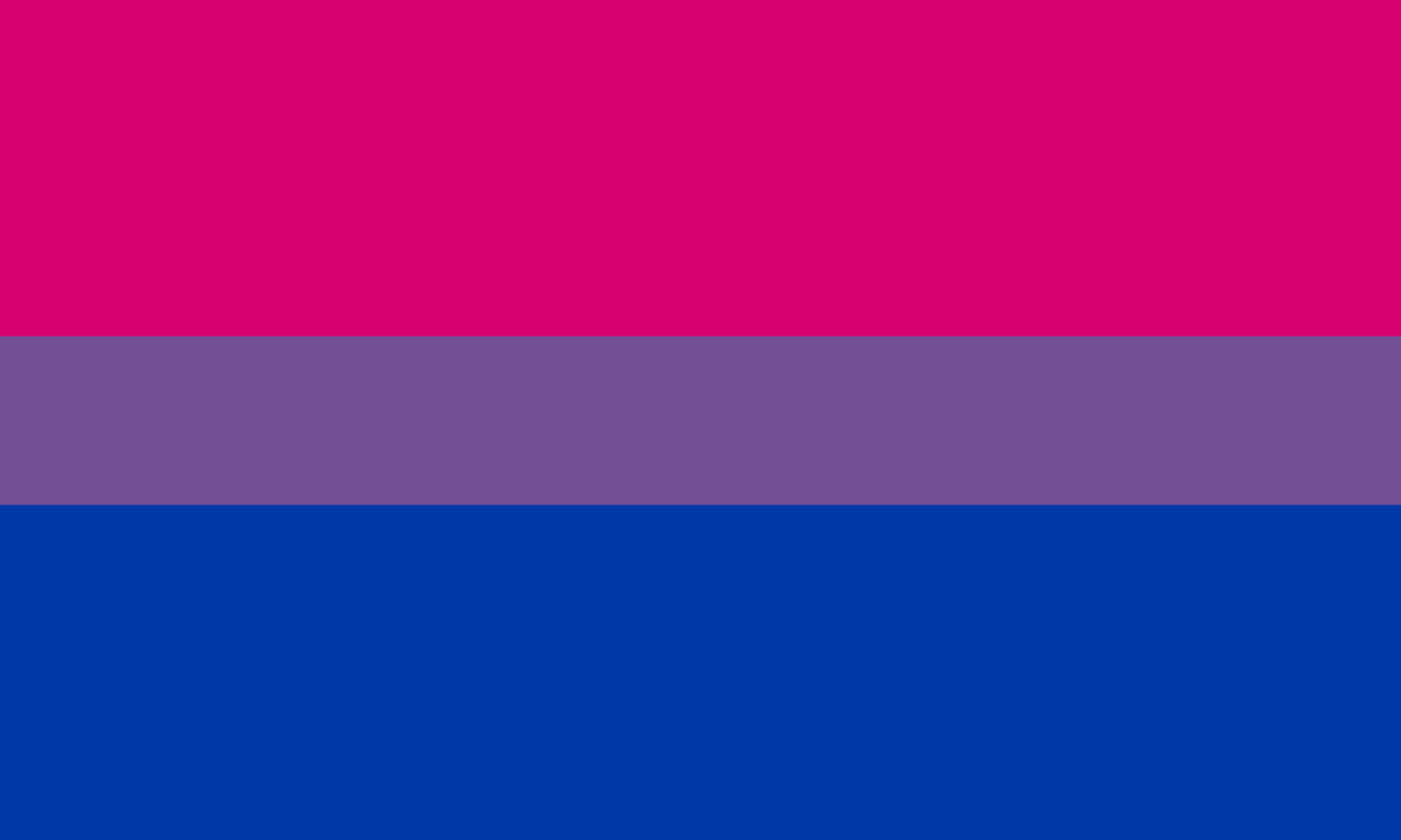 Bisexual Pride Flag. One large dark red wine kind of colour at the top, one large dark blue kind of colour at the bottom, with a smaller violety type stripe across the middle. The whole thing looks a bit washed out.