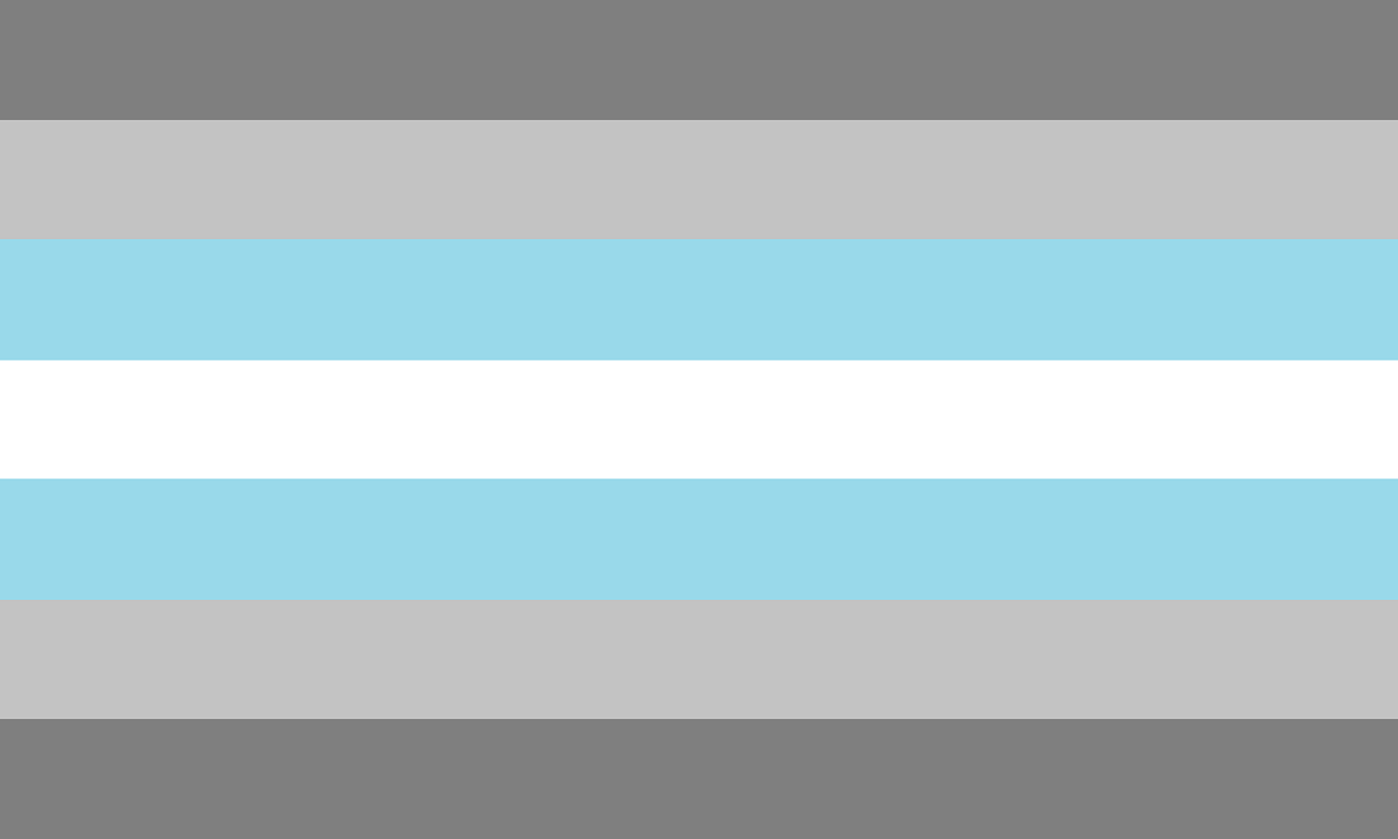 Demiboy Pride Flag. Equal stripes across, from the top down: dark grey, light grey, pale blue, white, pale blue, light grey, dark grey. It's quite busy, yes.