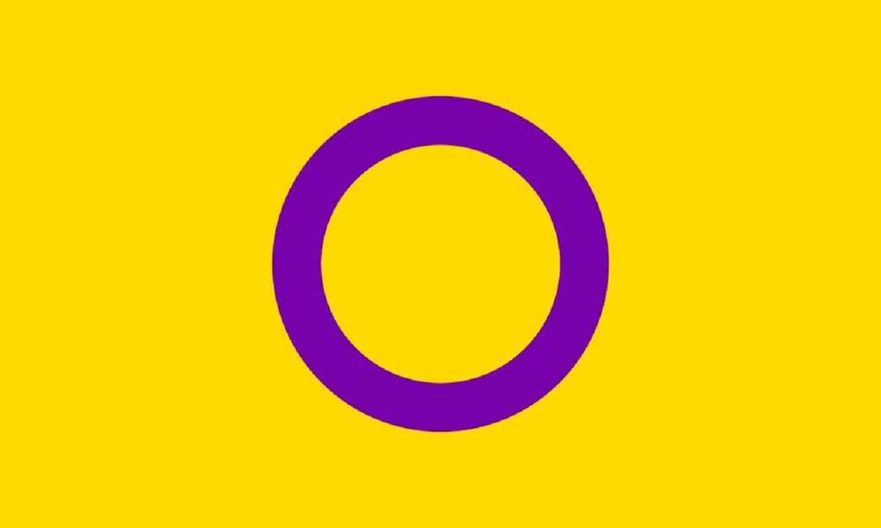 Intersex Pride Flag. Yellow background, purple circle. No stripes. Shock!