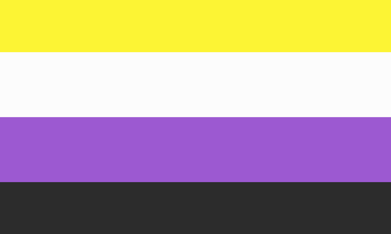 Non-Binary Pride Flag. Equal stripes across, from the top down: bright yellow, white, purple, black. The bright yellow dominates, tbh. Like a kind of high-viz hat.