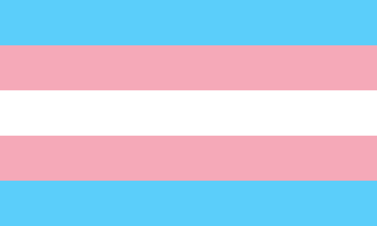 Transgender Pride Flag. Equal stripes across, from the top down: pale blue, pale pink, white, pale pink, pale blue.
