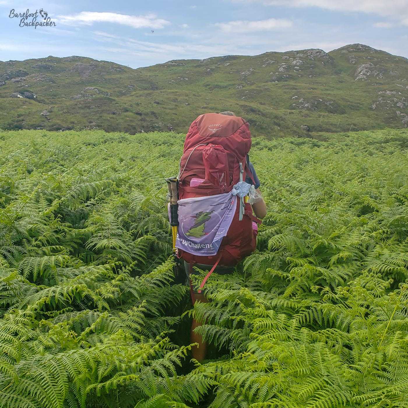 A woman carrying a red backpack is only visible from the waist up; the rest of her is hidden by green ferns.