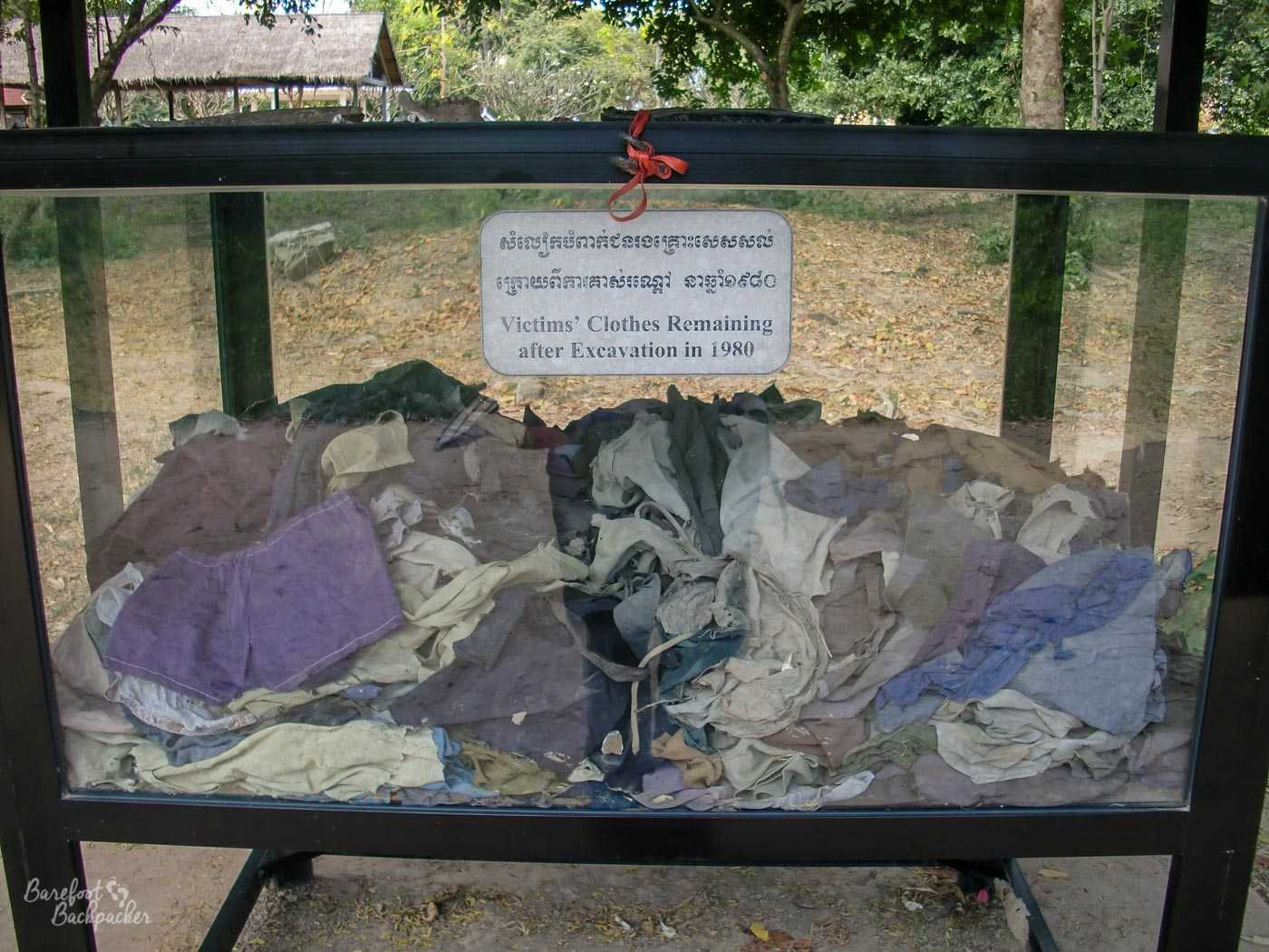 A clear box on legs, filled with fragments of fabric. A sign on the box says 'Victims' clothes remaining after excavation in 1980'.