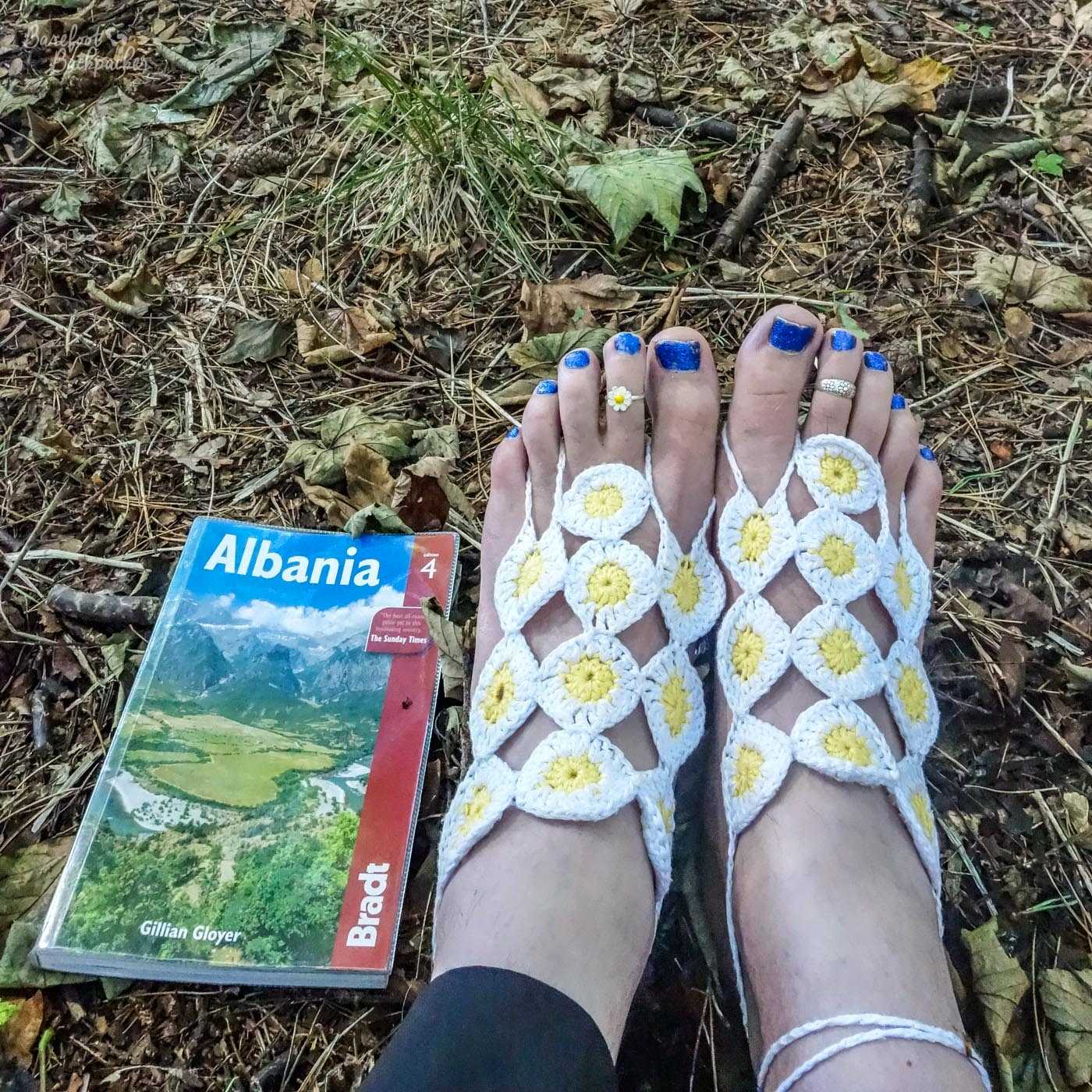 Feet in the daisy barefoot sandals, in a woodland. All ten daisy motifs can be clearly seen, wrapping around the top of the feet. The toenails are bright blue. Next to the feet is a Bradt Guide to Albania.