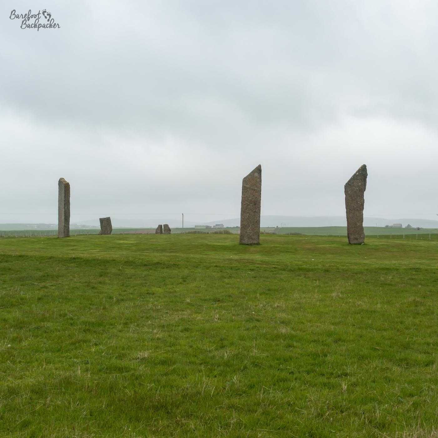 Another view of the three larger and two stumpier stones. On this pic the layout is clearer – the stones are set in such a way that you can visualise a circle, and the grass they're standing on is slightly raised compared to the rest of the field.