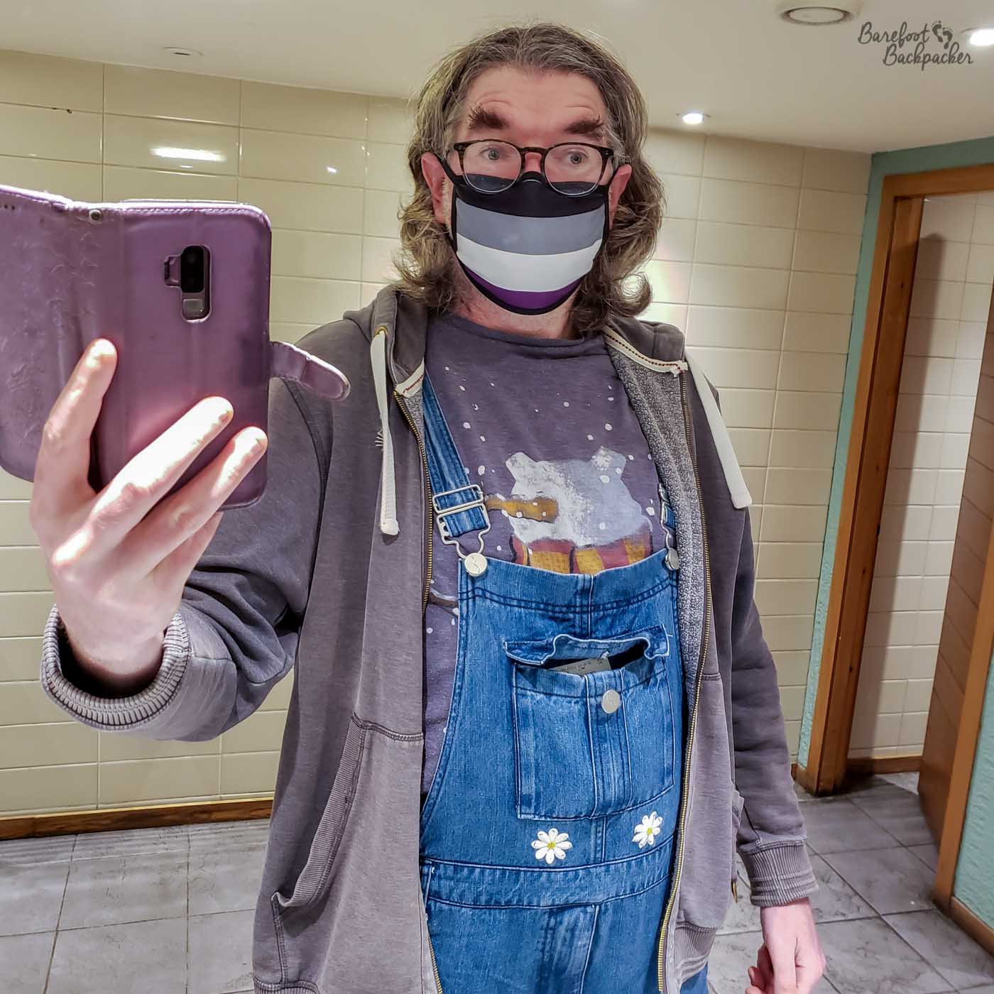 A person is stood in front of a ceramic tiled wall. They have a phone in their hand, held a bit away from their body, but they are looking almost at the camera not at the phone. They are wearing a hoodie that's zipped open, denim dungarees with a couple of daisies, a t-shirt, and an asexual pride facemask.