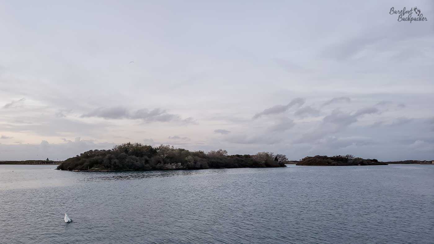 Southport Marine Lake at twilight. A couple of islands covered in shrubbery in the middle, and a bird is swimming on the water in the bottom left.
