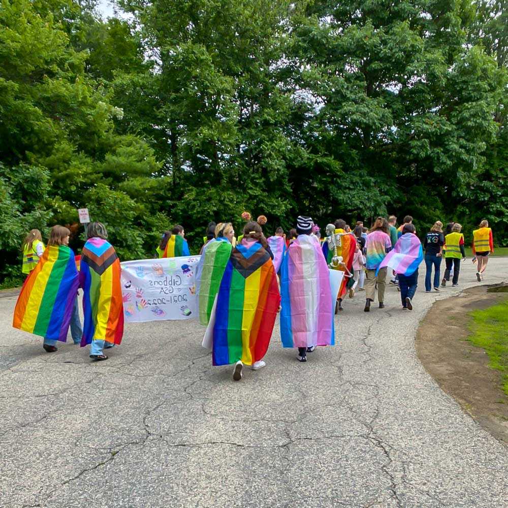 A small march plods away from the camera; lots of people wearing capes and flags in various different Pride designs and colours.