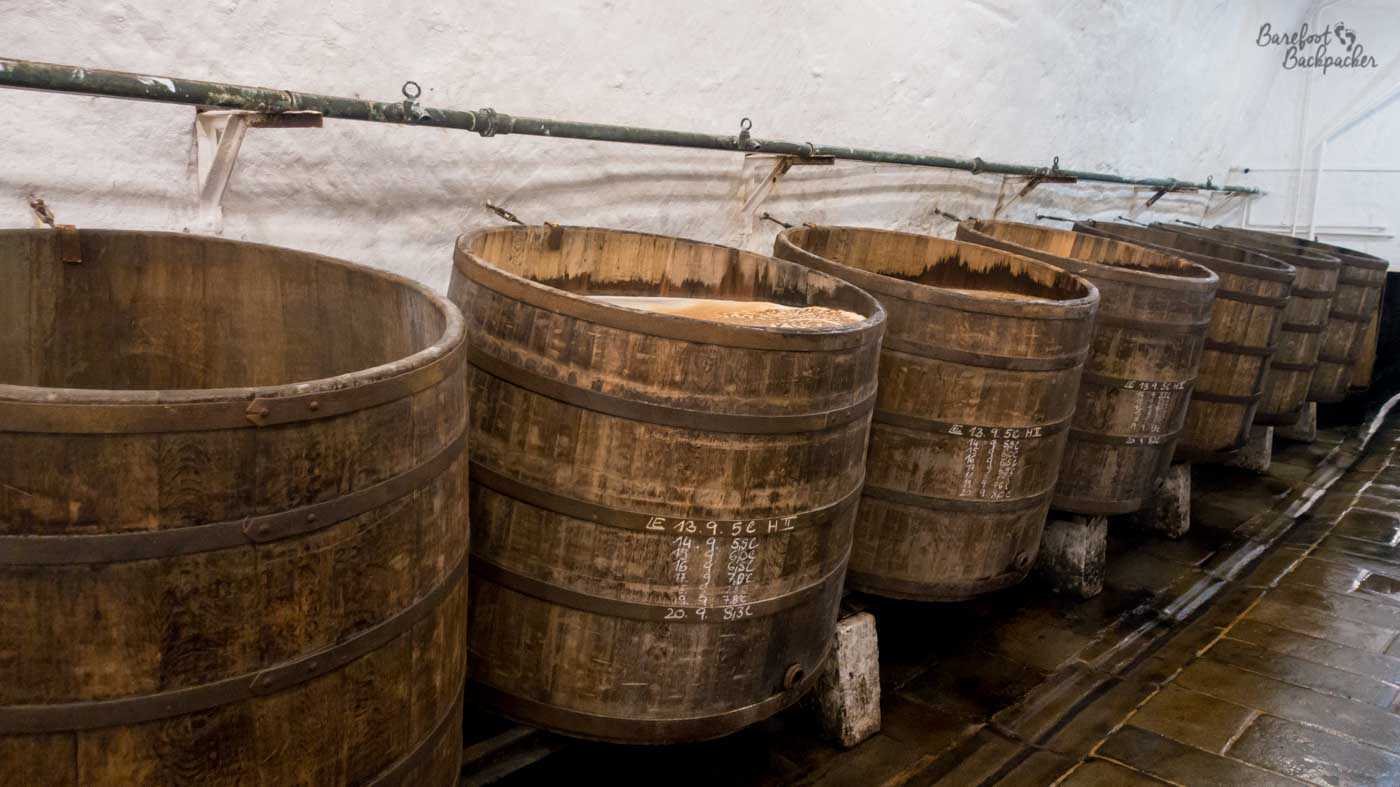 Seven wooden casks, in a line, all open-topped, and angled forward slightly. A couple of them are angled enough to evidence a shining and vibrant golden liquid inside.