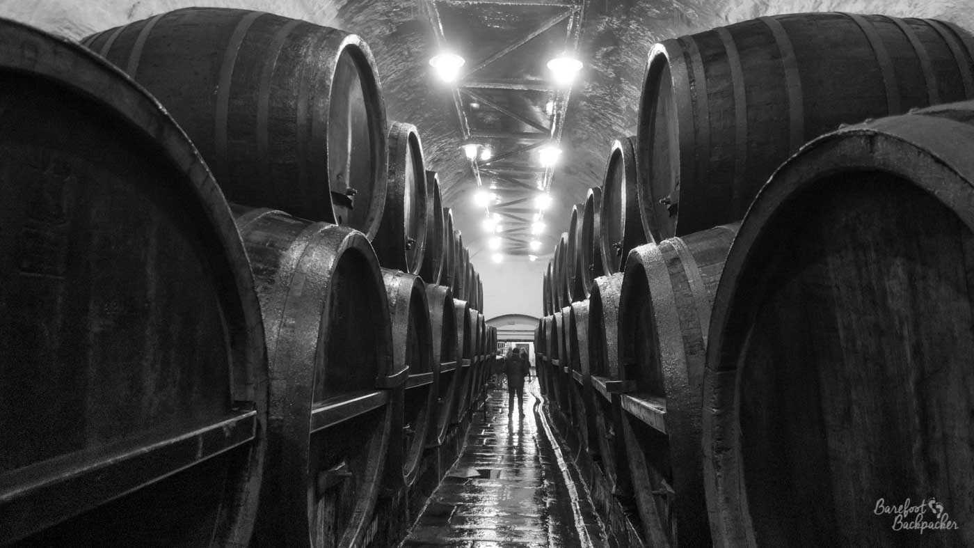 Huge casks of beer, on their side and piled two high, line both sides of a damp tiled passageway, leaving little room to walk down. In the distance a person is standing in the passageway; there's no room for anyone to get past on either side of them.