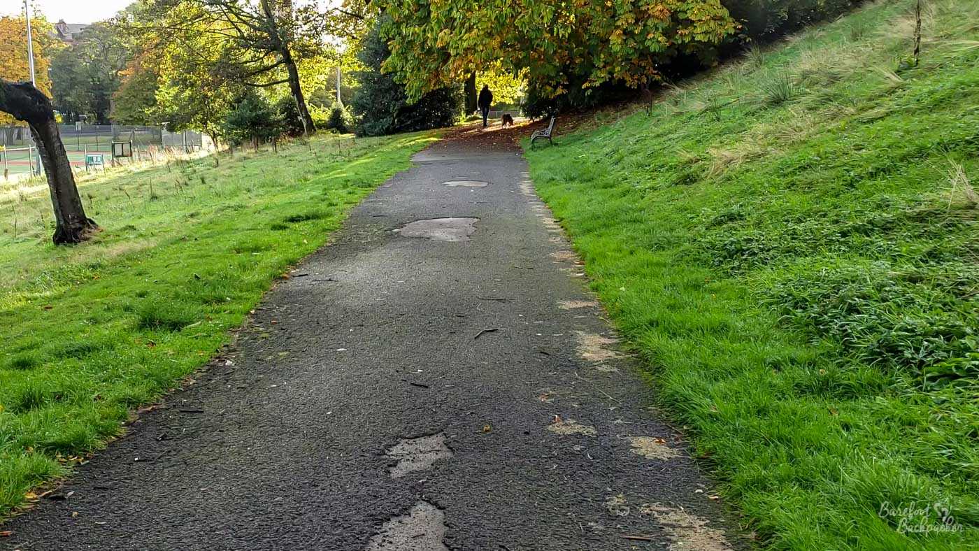 A slightly broken tarmac path with a few trees either side. Also on both sides it's clear there's grassy banks/slopes.