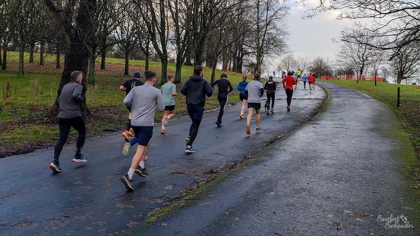 A mass of runners are running up a hill on a road. Behind the runners are a series of quite bare trees.