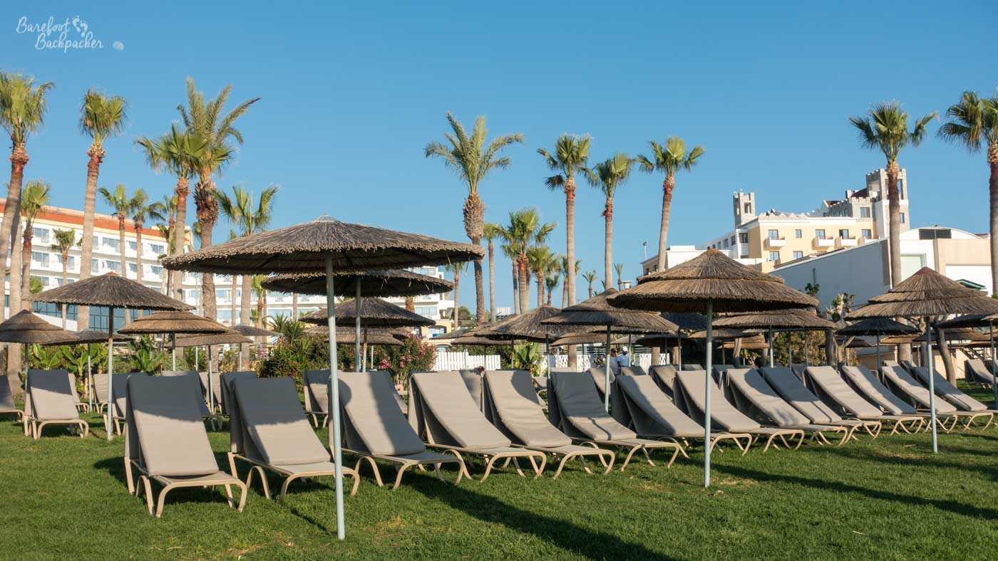 Two lines of empty deckchairs continue to the right, out of shot. They're on the grass, with scattered thatched parasols on poles between them. Behind are palm trees and the clear sky.