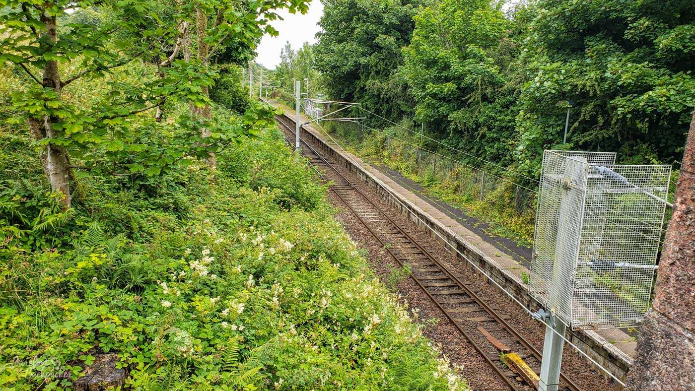 View looking down at a single-track railway line. On the far side of it is a concrete platform, the difference between the main body and the stone at the railside edge still clearly visible. There's nothing else on the platform. Behind it is a fence. On both sides of the railway are steep banks of dense bush.
