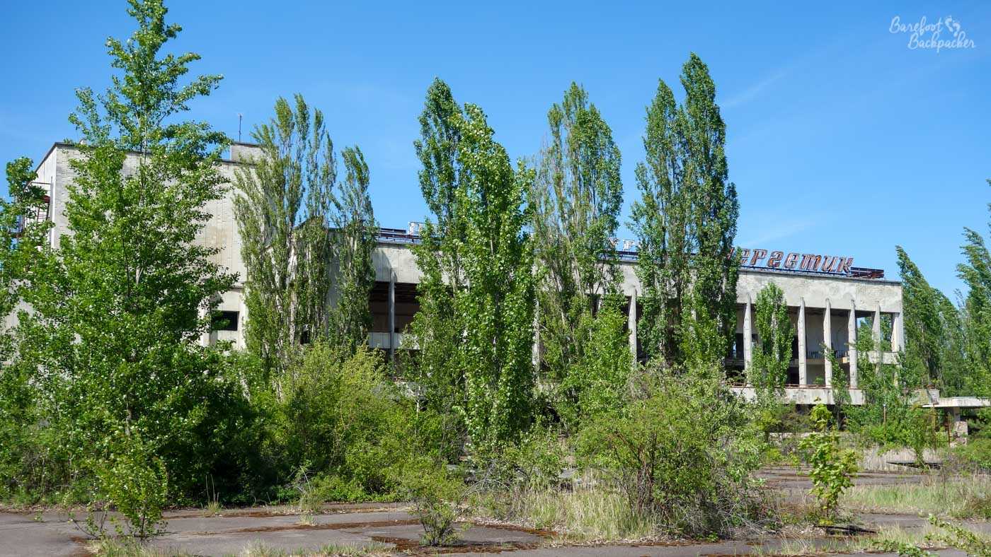 One of the buildings in Pripyat. It's long, fronted with columns, made of concrete, and hidden by trees growing through the cement that used to be a plaza.