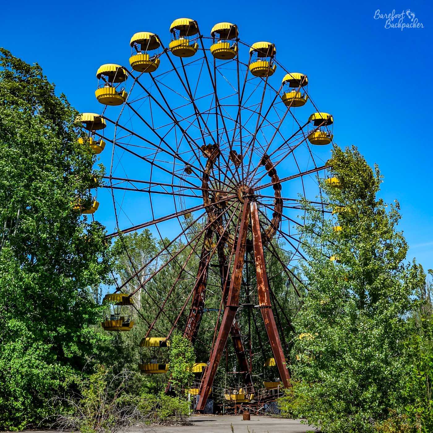 Close-up of a huge fairground-esque big wheel, standing on broken concrete and with shrubbery and tree growing through it.