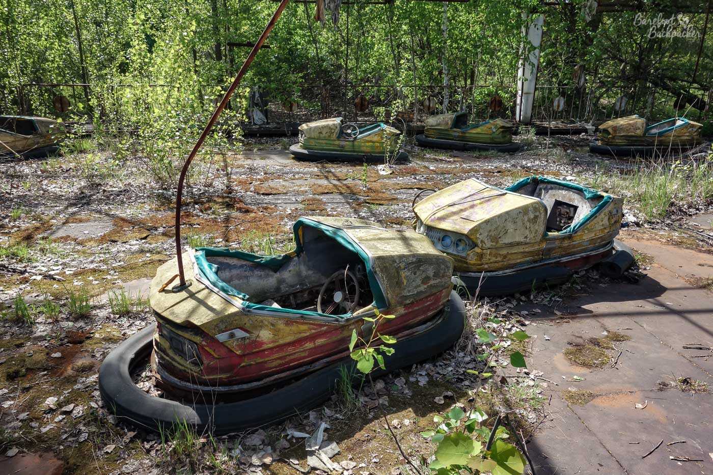 A series of dodgem cars, rusting in the open air. One still has its connection mechanism to the roof, but there is no roof any more. Two in the foreground are head-to-head, forever nose-booping. The ground is a mass of fallen leaves, moss, weeds, and twig.