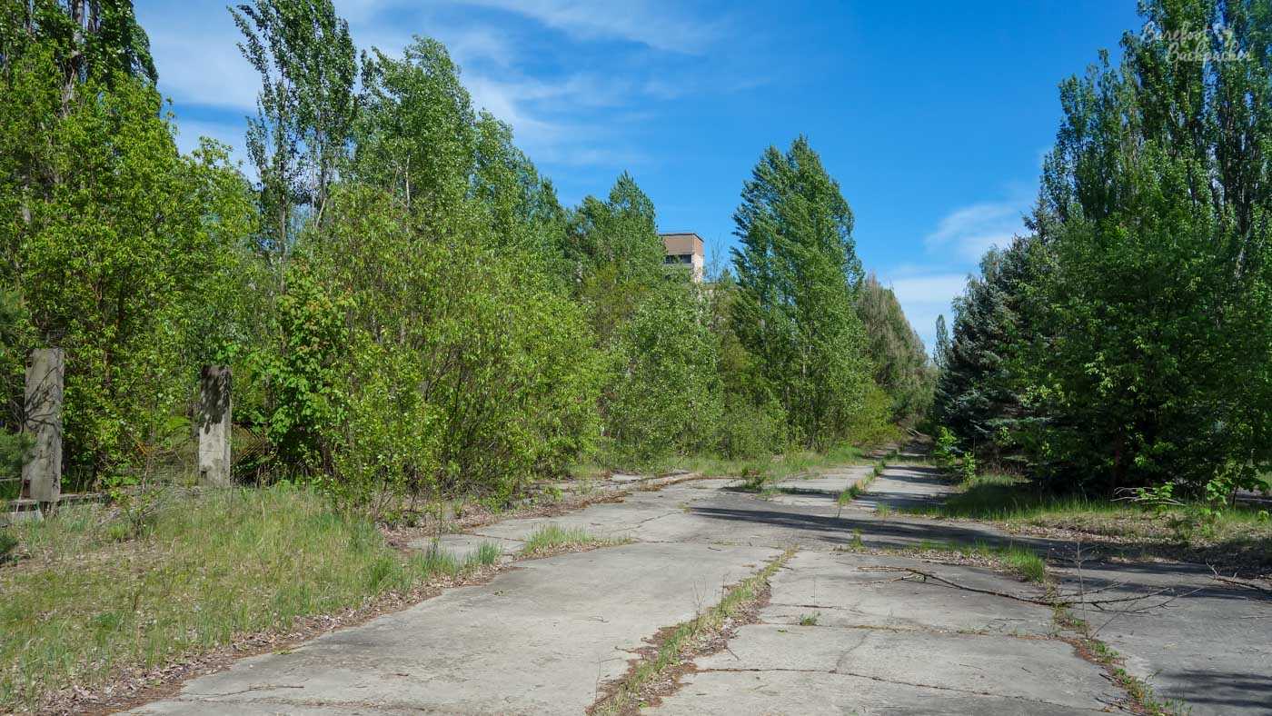 One of the main streets of Pripyat, or what used to be. The picture shows a long, straight, cement road, no road markings, broken, littered with weeds, and the trees on either side of the road are stretching into it. They are also tall enough to mostly hide the buildings further back and ahead.