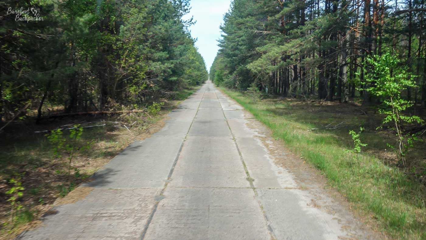 Taken from our minibus through the windscreen, this is an image of a cement road, straight as a ruler, with dense trees on either side. There's nothing else in shot and it's clear the road is going through somewhere very not populated.