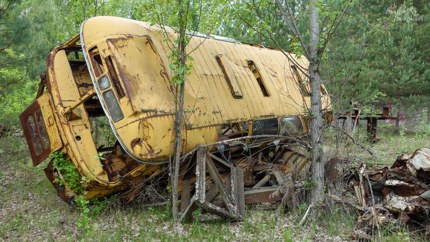 A yellow bus, like an American school bus, is lying at an angle on some bushes, windows smashed, stuck in the shrubland and trees.
