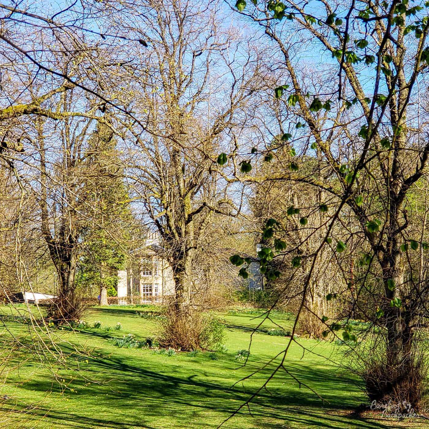 A view of a park slightly obscured by tree branches. In the distance is a stone-block building.