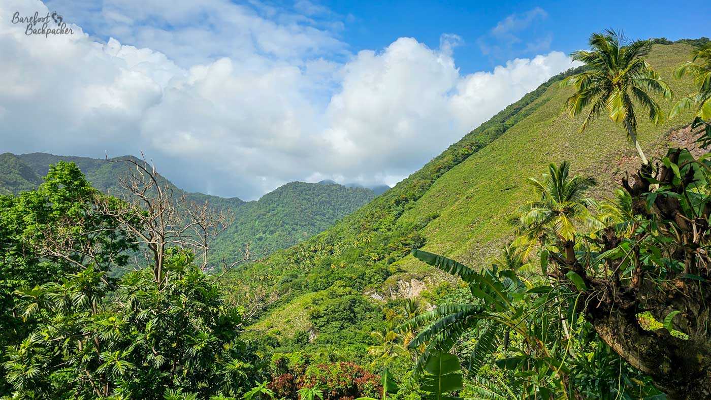 A lush tropical landscape of steep green hills covered in dense vegetation. Palm trees and broad-leaf plants fill the foreground beneath a bright sky with billowing white clouds.