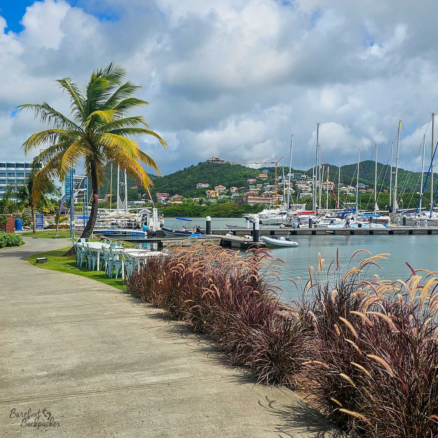 A marina with sailboats moored in calm water beside a paved walkway. Palm trees, ornamental grasses, and hillside houses frame the harbour under a bright, partly cloudy sky.