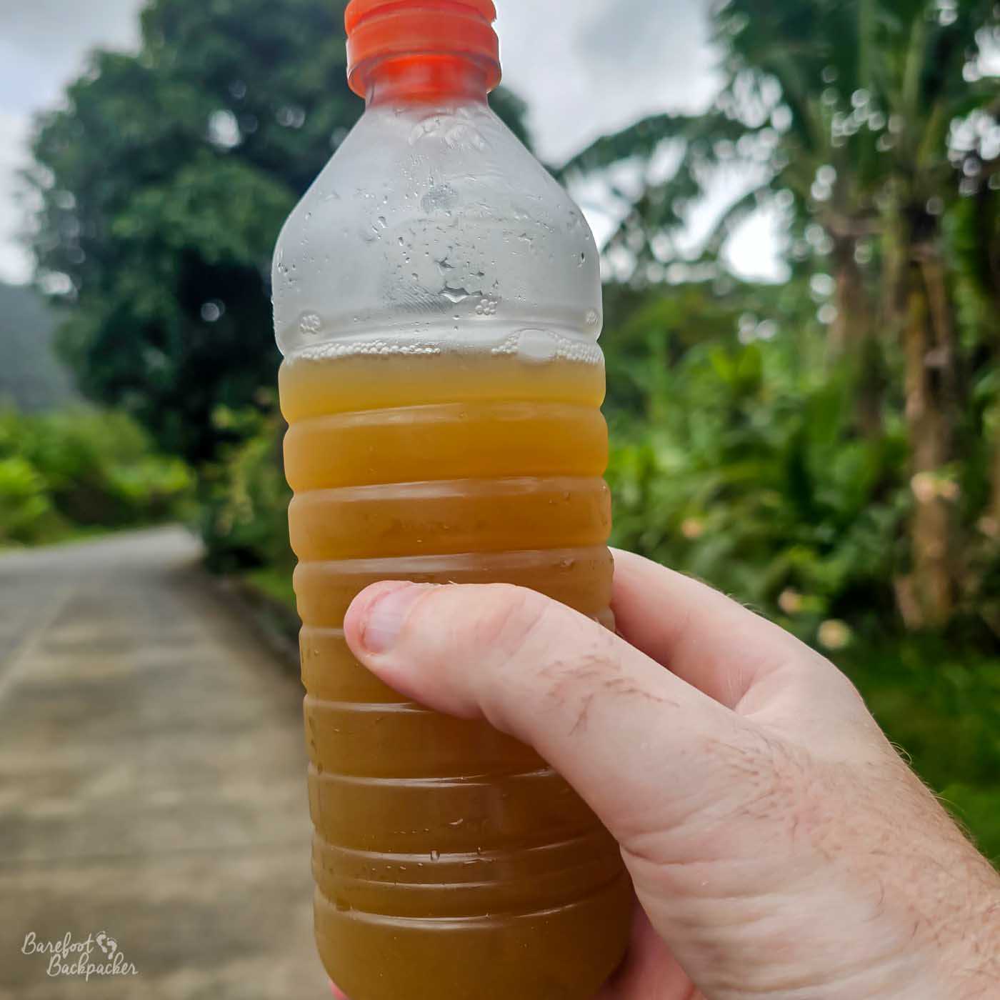 A hand holds a plastic bottle filled with a cloudy brown liquid, possibly a local drink, against a background of a rural road and dense green tropical foliage.