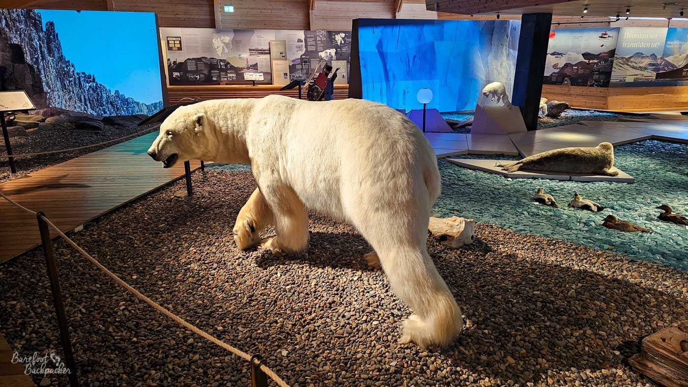 A lifelike polar bear display dominates a museum exhibit, the large white animal posed mid-stride on a bed of small stones. Around it, other Arctic wildlife displays—including seals and birds—are arranged in a stylised landscape with blue-toned backdrops suggesting ice and water. Informational panels line the walls, adding context to the natural history setting. The scene blends realism and curation, giving the impression of stepping into a frozen Arctic environment indoors.