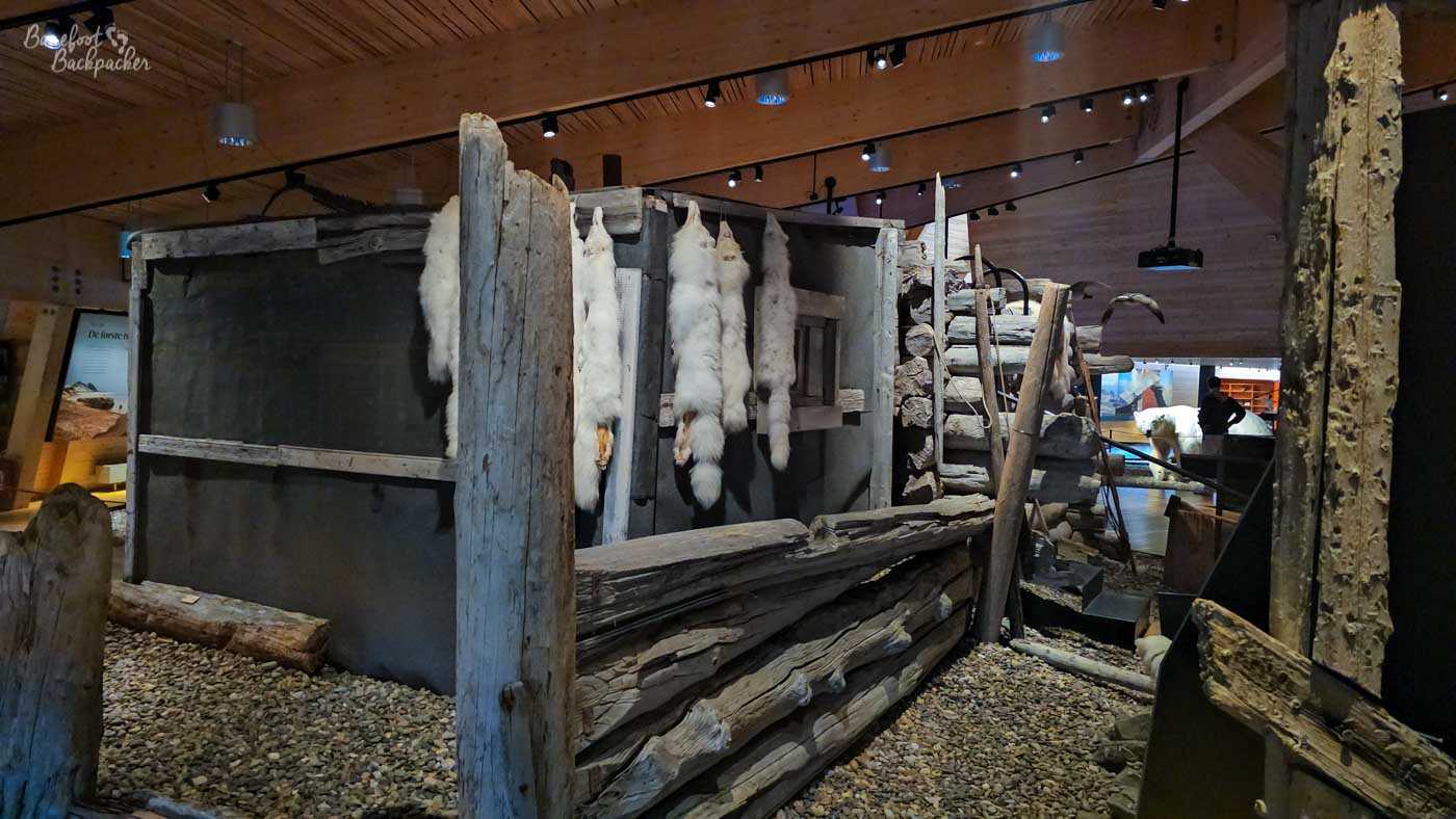 A reconstructed wooden trapping hut inside a museum, with animal pelts hanging outside on a rack. Rough timber walls, tools, and stones recreate the harsh conditions of early Arctic trappers.