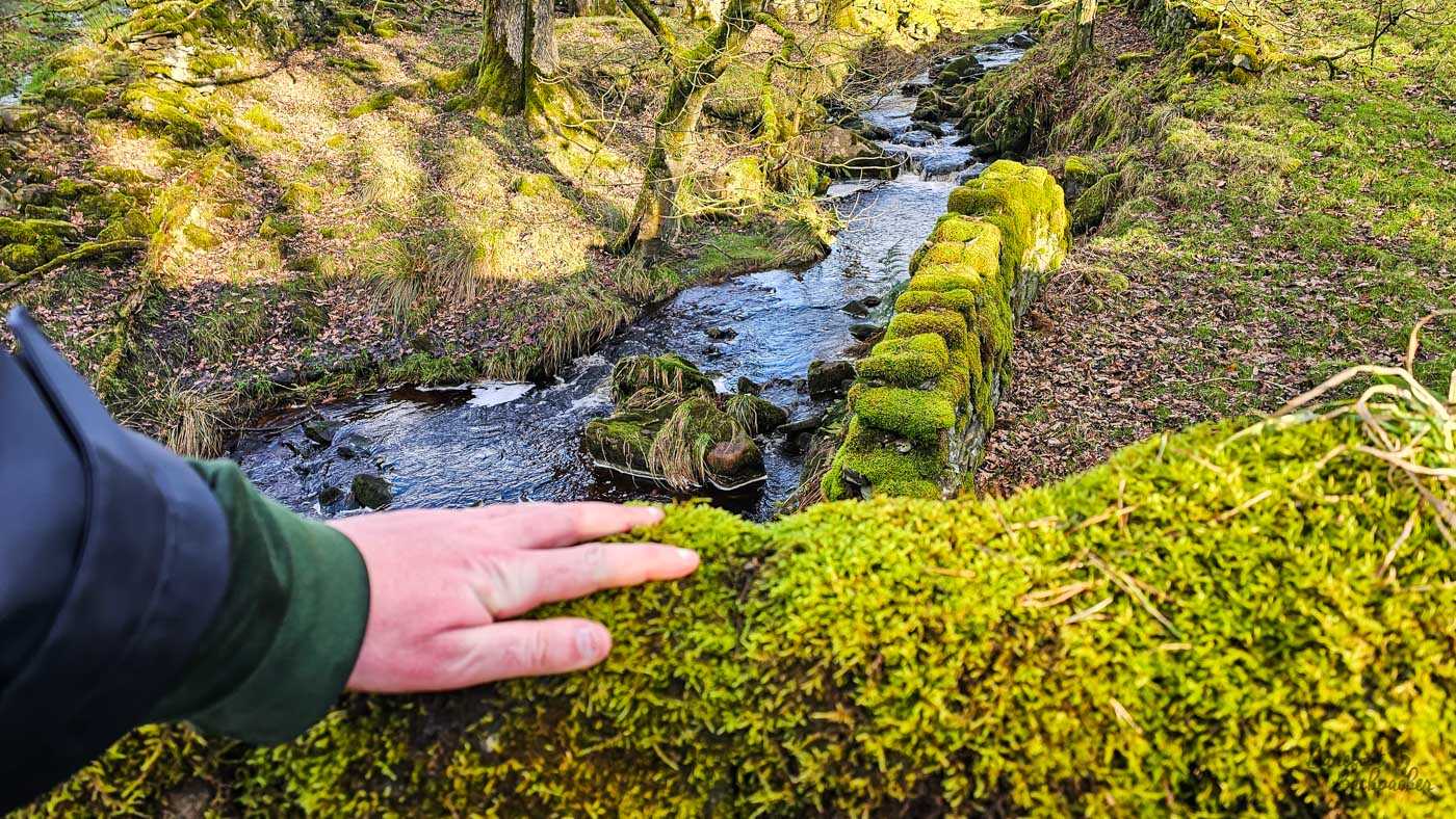 Podcast #115: Travel Through The Senses