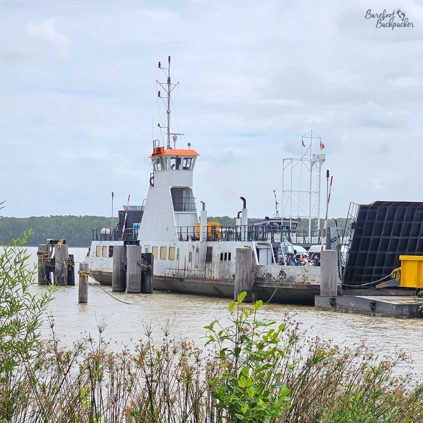 A closer view of the ferry shows the sturdy, workmanlike boat tied alongside a simple riverside dock, its white hull weathered from use. The tall mast and small wheelhouse rise above the deck, while ropes tether it to wooden posts in the murky water. In the foreground, wild plants and reeds frame the scene, adding a touch of green against the muted tones of river and sky. The atmosphere is calm but subdued, with soft light filtering through a cloudy sky over the wide, slow-moving river.