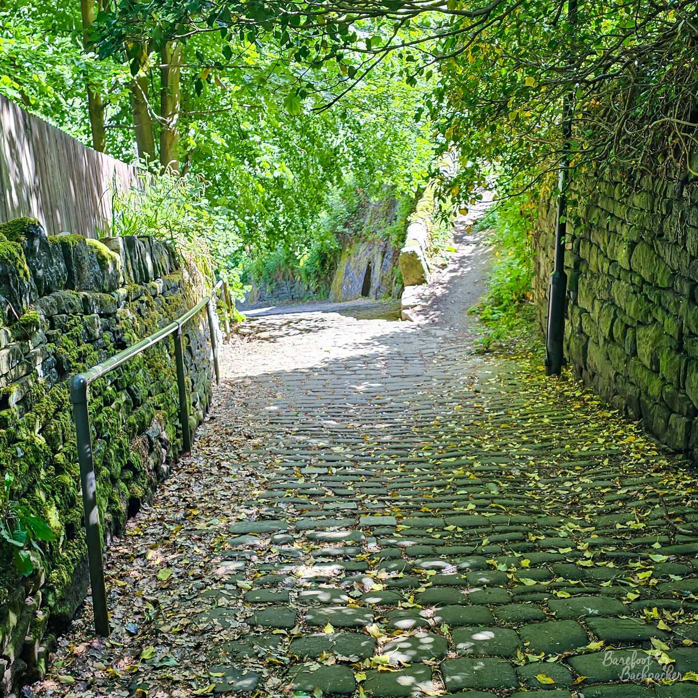 A narrow cobbled lane between moss-covered stone walls beneath leafy trees in Heptonstall, with dappled sunlight filtering through the branches. The light is a defining feature.