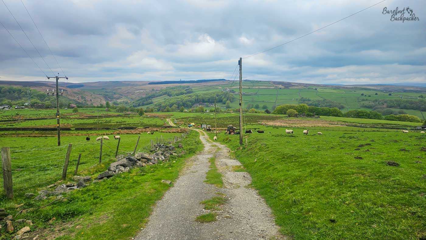 Farm track leading through green fields towards the hills above Cragg Vale.