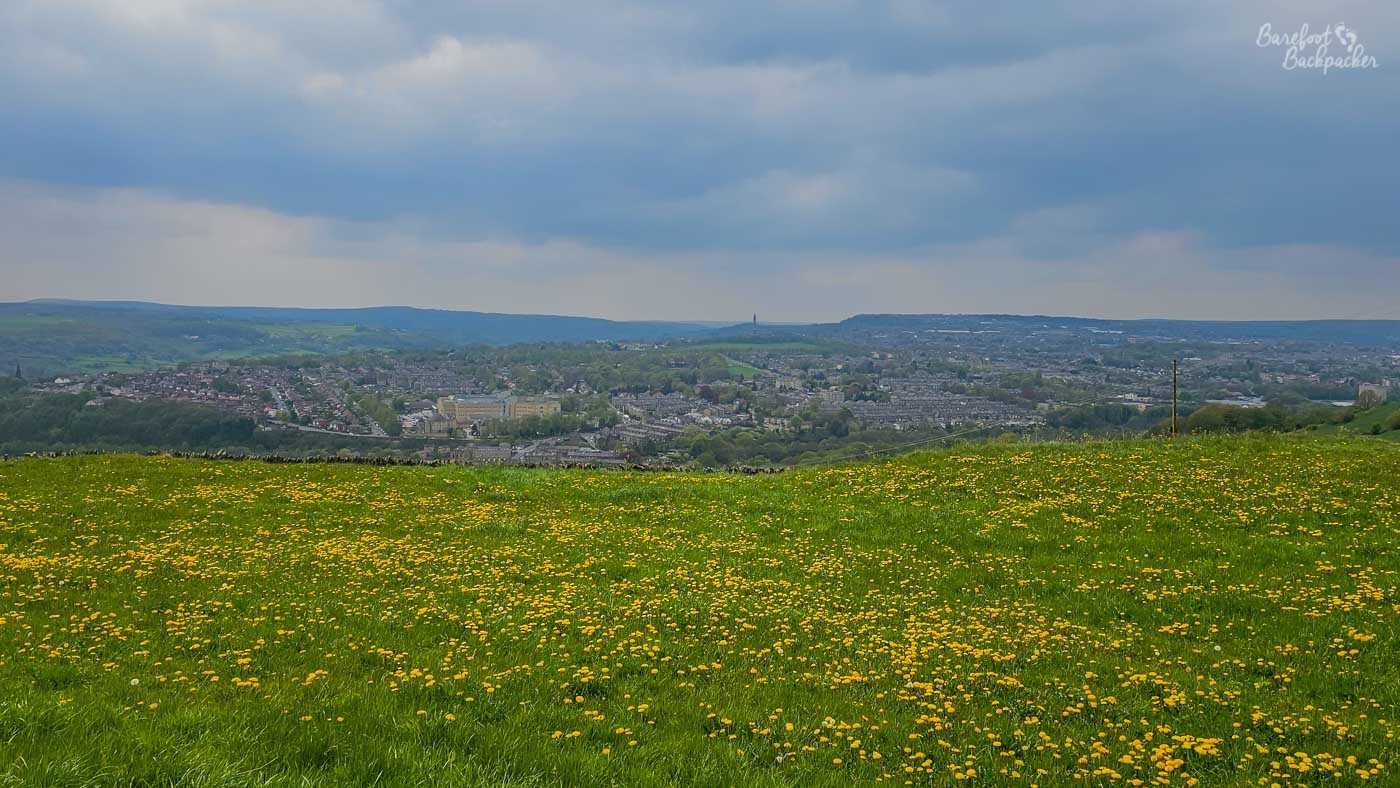 A broad meadow scattered with hundreds of yellow dandelions stretches across the foreground, overlooking the densely built towns of the Calder Valley below. Rows of terraced houses, roads and church spires fill the valley floor before giving way to distant green hills beneath a heavy grey sky. The contrast between the flower-filled pasture and the urban landscape beyond highlights the close relationship between Calderdale's countryside and its industrial towns. Despite the threatening clouds overhead, the bright spring grass and wildflowers bring colour and warmth to the sweeping view.