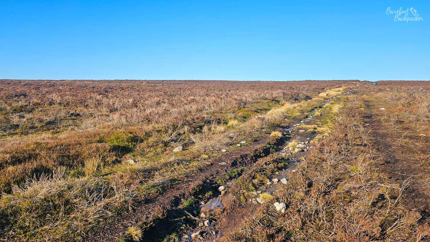 A wide, low-angle shot captures a vast, undulating landscape dominated by a clear, bright blue sky and a field of brown and reddish-brown heather under a hazy sun. A narrow, muddy track, strewn with rocks and patches of green grass, cuts diagonally across the frame from the lower right towards the horizon. The track appears to be worn down, with evidence of water or mud. The heather stretches uniformly to the horizon, creating a sense of immense, open space. A small, light-coloured heart-shaped stone is visible on the right side of the track, nestled within the dry heather. The overall impression is one of a remote, rugged, and windswept moorland.