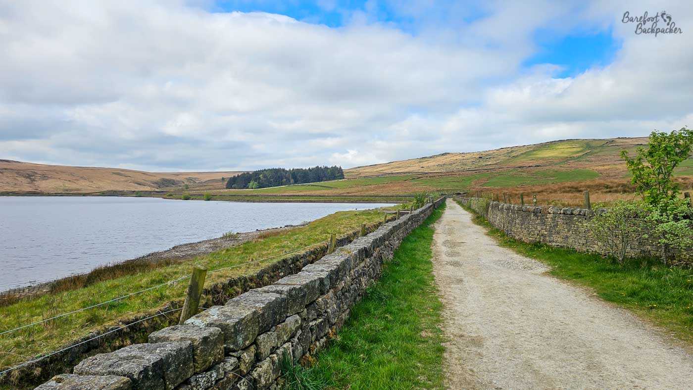 A wide gravel path follows the edge of a calm reservoir, separated from the water by a low dry stone wall that guides the eye into the distance. Gentle hills of rough pasture and moorland rise beyond the shoreline, broken only by a small plantation of dark evergreen trees and the occasional patch of brighter spring grass. Soft sunlight filters through broken cloud, lifting the colours of the landscape while leaving the water smooth and silvery beneath the sky. The long, gently curving track creates an inviting route through an otherwise open and sparsely populated upland landscape.