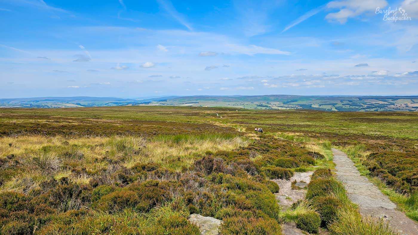 A wide, sweeping vista of a moorland landscape under a bright blue sky dotted with wispy white clouds. In the foreground, a stone path winds its way through a sea of heather and rough grasses, with patches of dry, golden stalks interspersed with vibrant green and deep purple foliage. The terrain is undulating, with a gentle slope leading towards the middle ground. Further into the scene, the landscape opens up into rolling hills and fields, a patchwork of greens and browns, suggesting agricultural land. In the distance, a hazy line of hills creates a soft horizon, bathed in the gentle light of a clear day. A small group of people can be seen walking along a path in the mid-ground, their presence emphasizing the vastness of the natural environment. The overall impression is one of open space, tranquility, and the beauty of a wild, uncultivated landscape stretching towards the horizon.