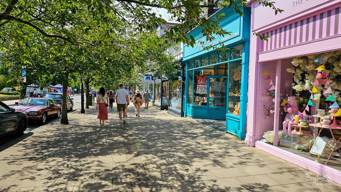 A tree-lined street with shops on the right and parked cars on the left. People are walking on the sidewalk. The shops have colorful displays. One shop is painted bright turquoise and has a