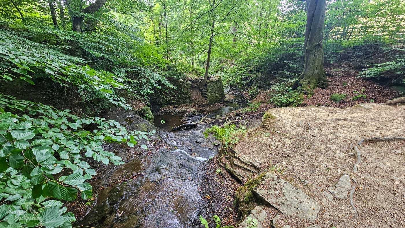A lush, green forest surrounds a small, rocky stream that flows through a ravine. The stream is shallow, with clear water cascading over smooth stones and fallen branches. The banks of the ravine are steep and covered in dense foliage, with vibrant green leaves and ferns growing in abundance. Sunlight filters through the canopy, dappling the forest floor and illuminating the water. On the right side of the frame, a large, flat rock formation juts out, providing a vantage point overlooking the stream. The overall scene is serene and natural, conveying a sense of peace and tranquility found in the heart of the woods.