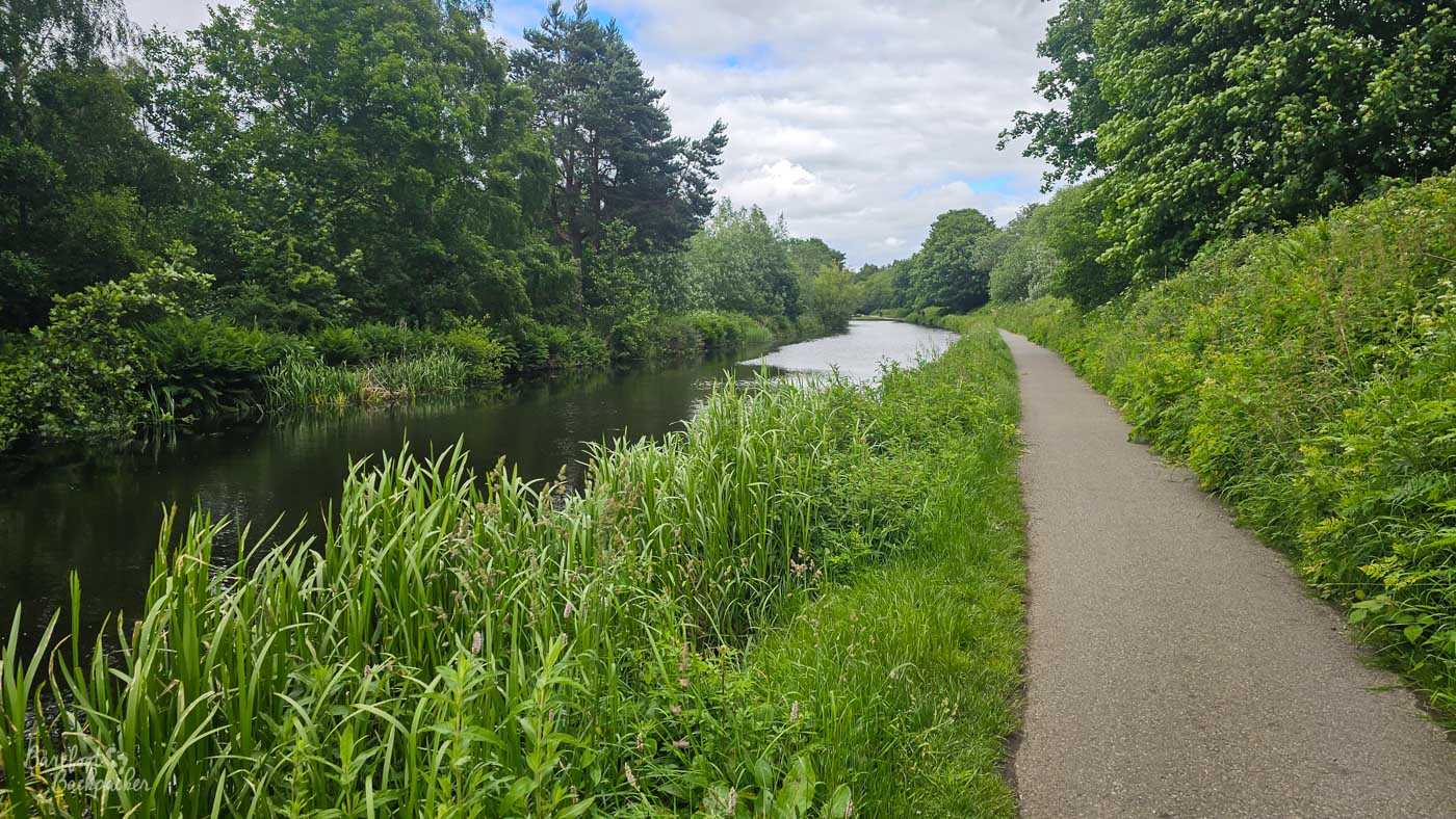 A paved towpath curves gently alongside a quiet stretch of canal surrounded by thick summer vegetation. Tall grasses and reeds crowd the water's edge, while mature trees and dense undergrowth enclose both banks, leaving only occasional glimpses of the sky. The canal itself bends out of sight ahead through the greenery.
